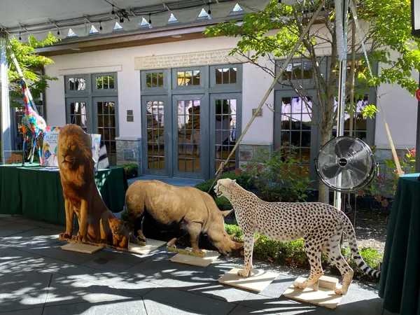 Jungle Theme Life-Size Cutout