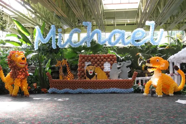 Noah's Ark Name in Balloons