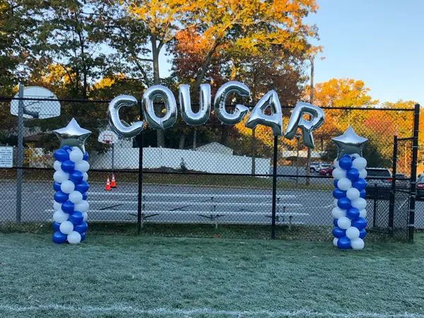 Mylar Name in Silver Balloons