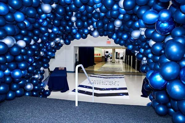 Organic Metallic Balloon Tunnel