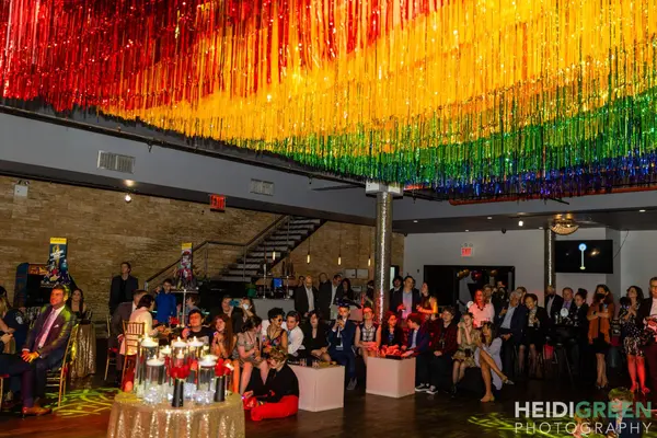 Rainbow Fringe Ceiling Swag
