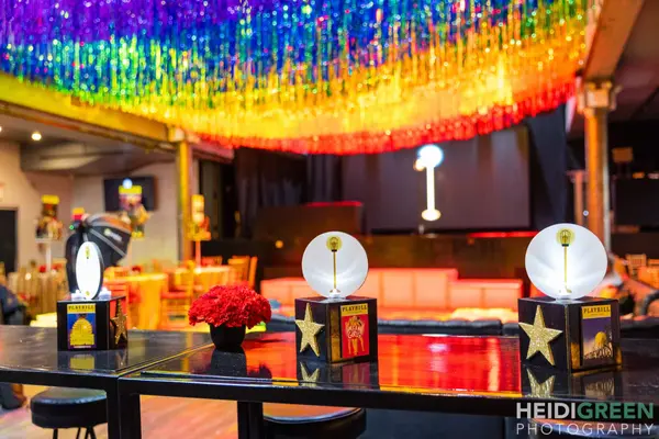 Rainbow Fringe Ceiling