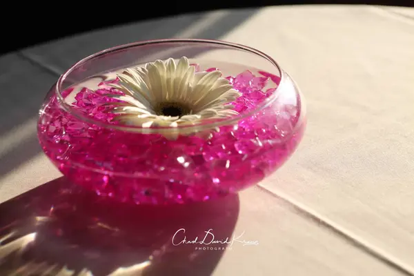 Gerber Daisy Centerpiece