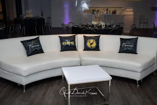 Emmy Awards Logo Pillows