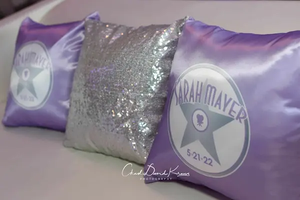 Hollywood Logo Pillow