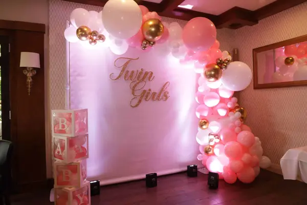 Twin Girls Baby Backdrop
