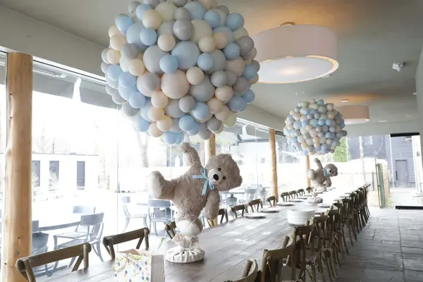 Custom Organic Hot Air Balloon