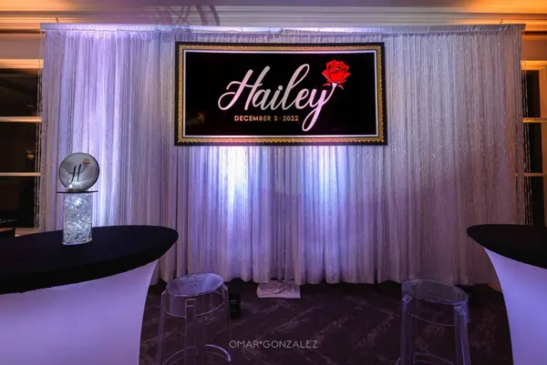Backdrop on LED Beaded Curtain