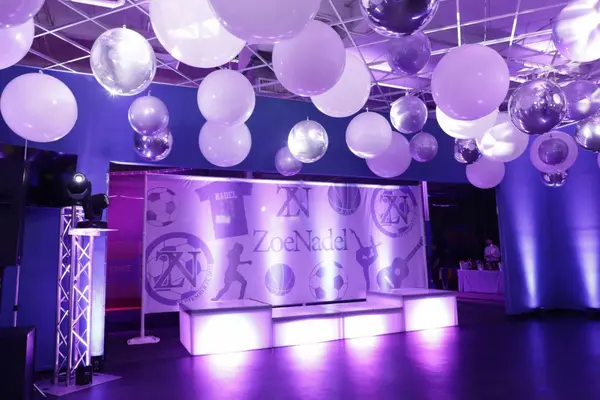 Bat Mitzvah Logo Mural