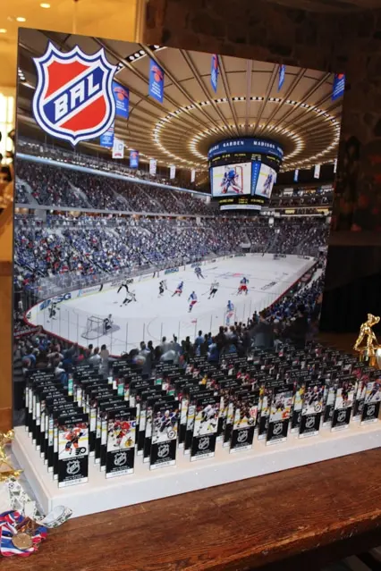 Hockey Stadium Display