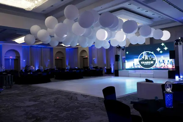 White Ceiling Balloons