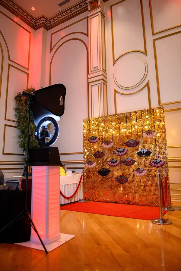 Gold Bling Photo Backdrop
