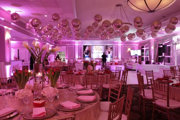 Valentines Day Themed Bat Mitzvah