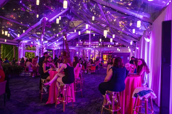 Purple LED Uplighting