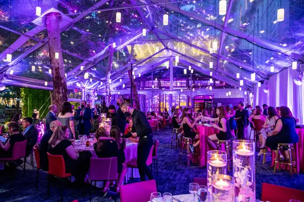 Purple LED Uplighting